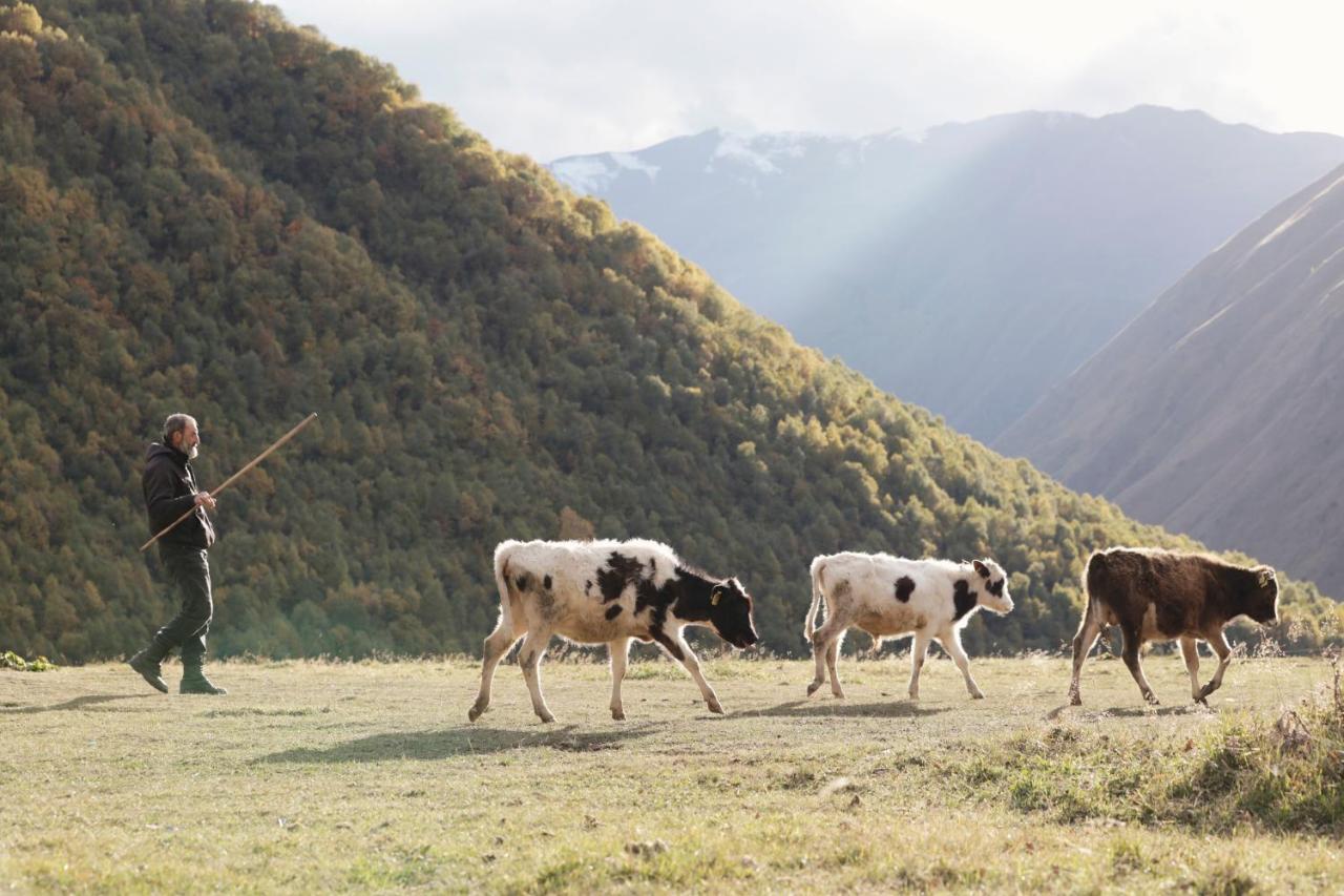 Rooms Hotel Kazbegi Exterior foto A shepherd with his cattle in the Caucasus Mountains