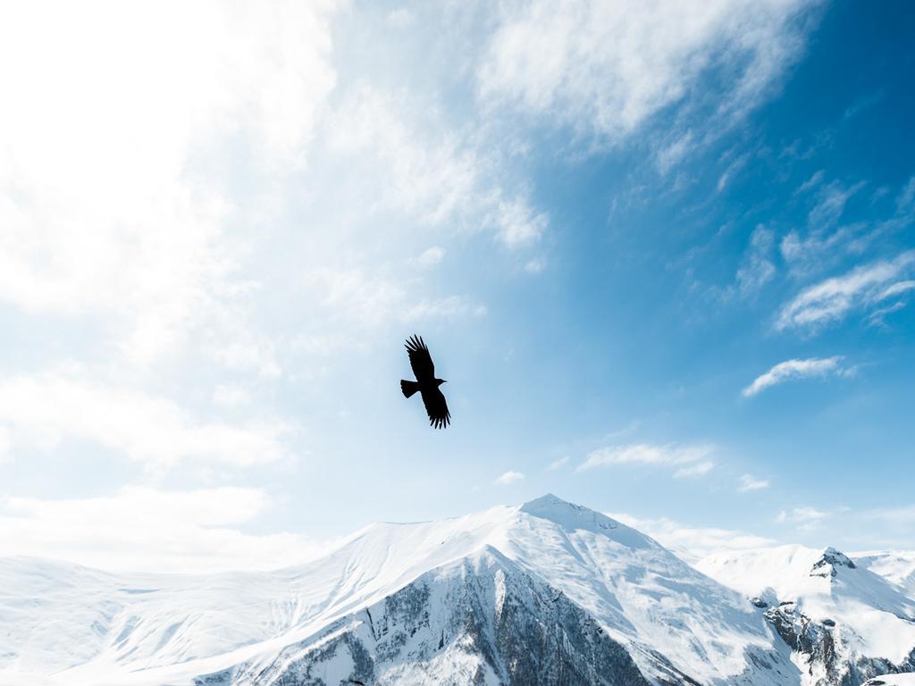 Rooms Hotel Kazbegi Exterior foto The Blackbird