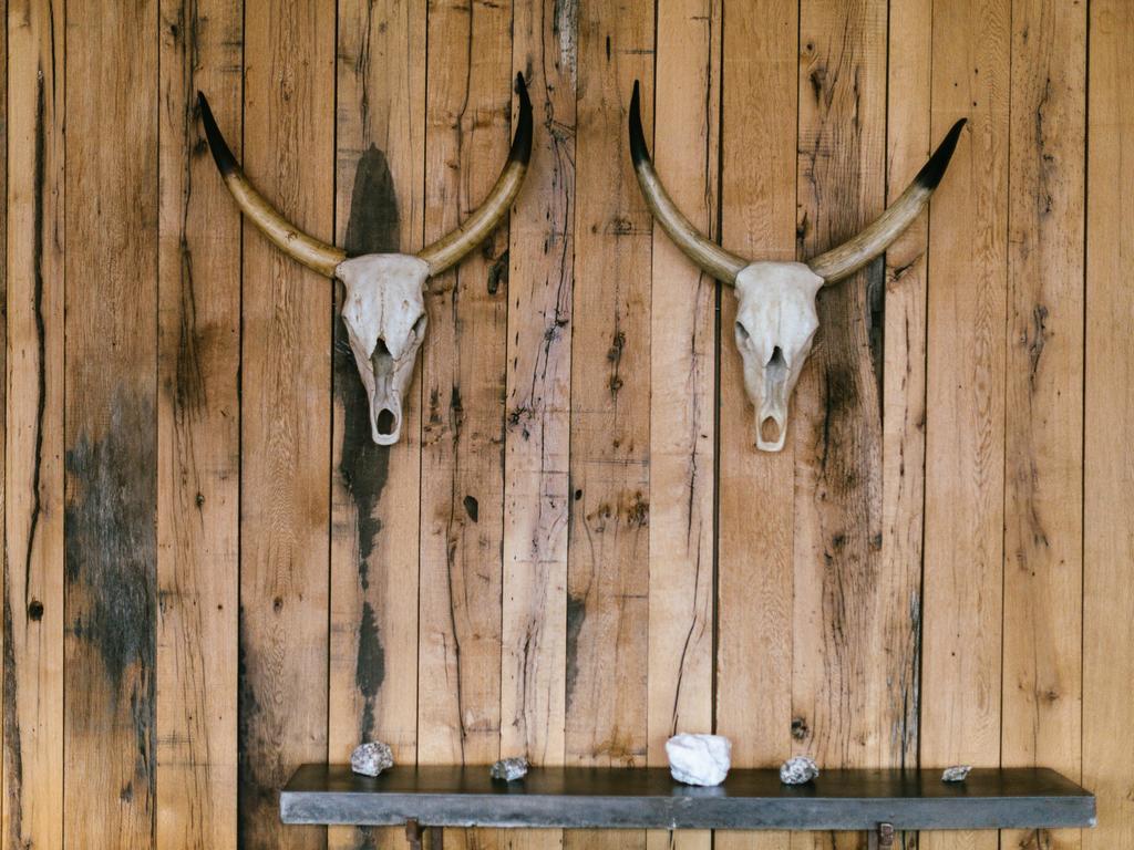 Rooms Hotel Kazbegi Exterior foto Cattle skulls mounted on a wall